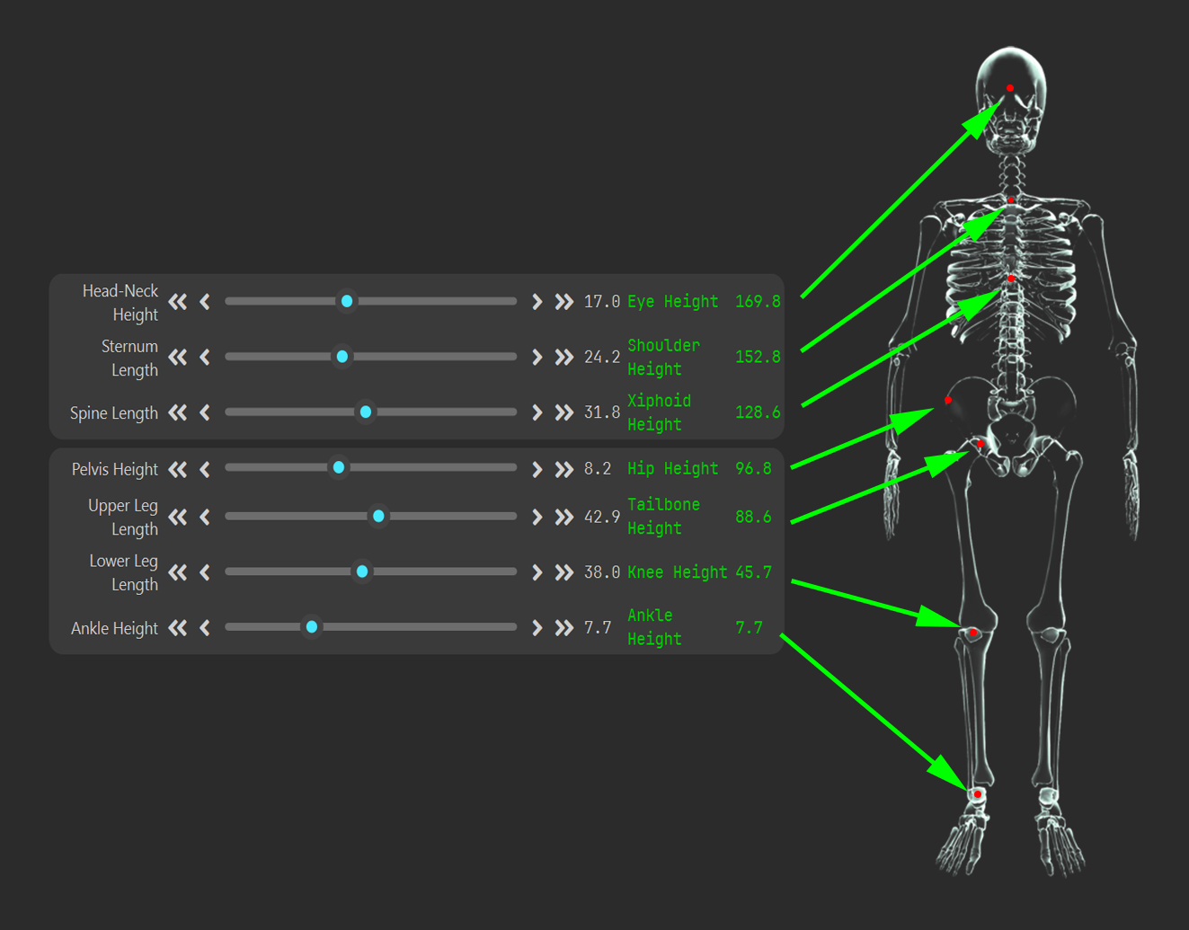 Torso Adjustment